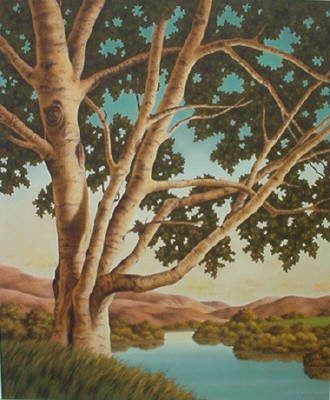 Artist: Doug Martindale, Title: Beyond the Old Birch - click for larger image