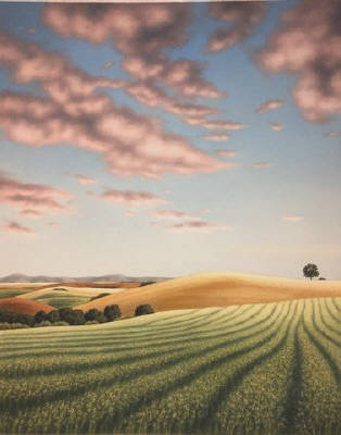 Artist: Doug Martindale, Title: Sunset over Canola Fields - click for larger image
