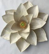 Artist: Gina Holt, Title: Lotus - White/Yellow - click for larger image