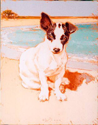 Artist: Kim Starr, Title: Poi Dog Hawaii - click for larger image