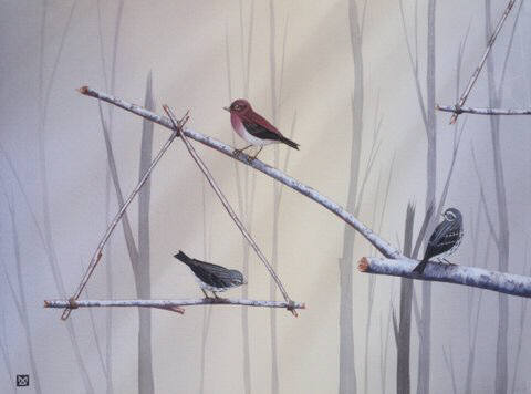 Artist: Milo Duke, Title: Three Purple Finches - click for larger image