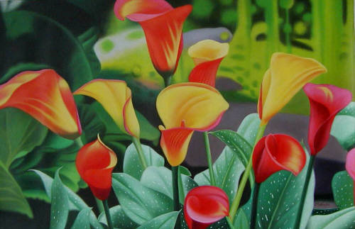 Artist: Robin Robinson, Title: Spring Splendor (Calla Lilies) - click for larger image