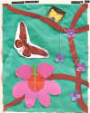Bill Braun - Rainforest Butterflies